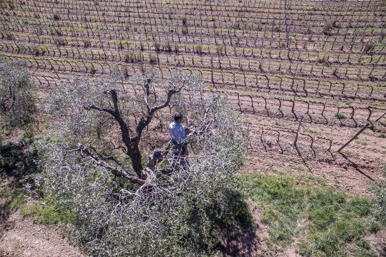 Agriturismo Ristorante Monte Argentario Kültér fotó